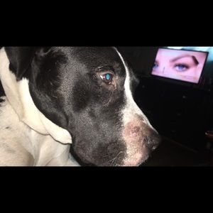 Meet your Posher, Danna